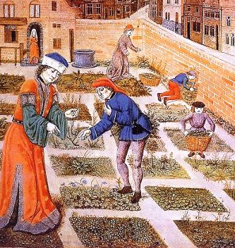 Later medieval herb garden