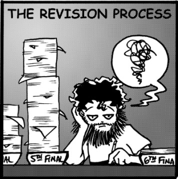 The revision process